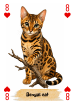 Игральные карты с породами кошек — 54 штуки — изображение 5